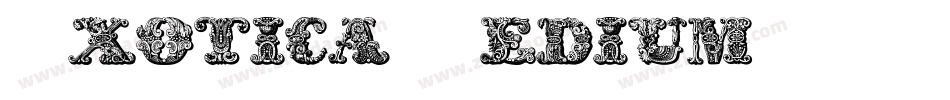 Exotica Medium字体转换